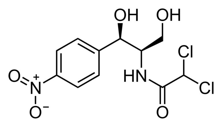 Chloramphenicol Wirkung und Indikationen Lecturio