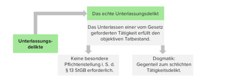 Paragraph 13 Stgb Einfach Erklärt www.lecturio.de