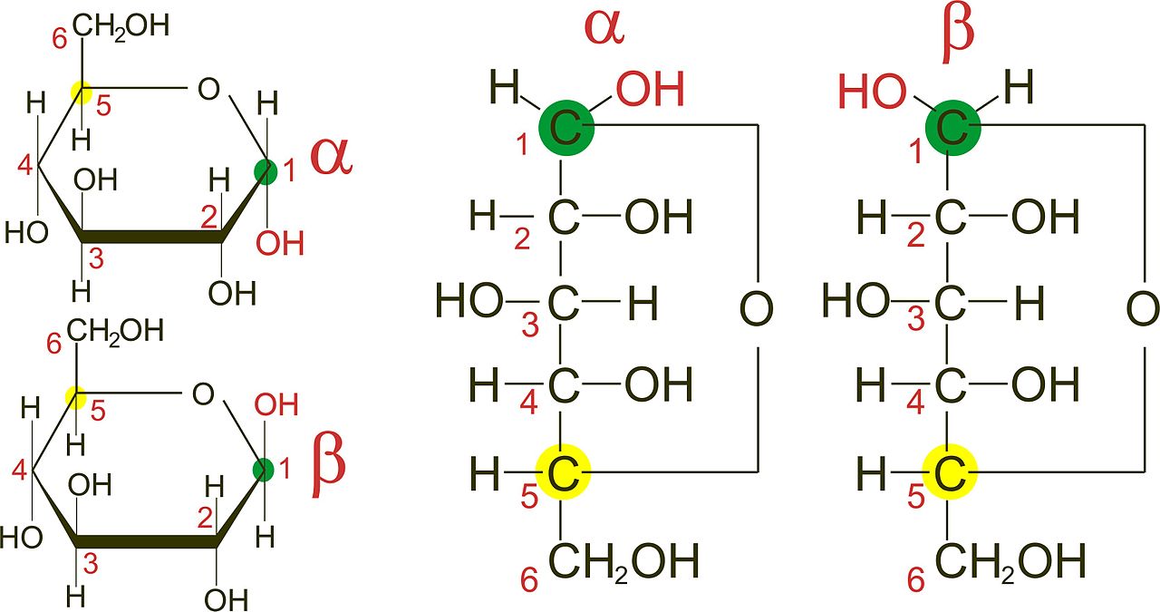 Was Sind Kohlenhydrate Chemie Kohlenhydrate: Chemische Struktur & Funktion | Lecturio